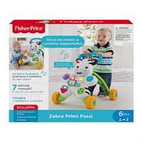 Fisher Price Zebra Primipassi Attività DLD91