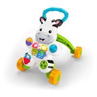 Fisher Price Zebra Primipassi Attività DLD91