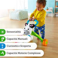 Fisher Price Zebra Primipassi Attività DLD91