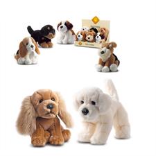 Plush & Company I Piccoli Doggy 21cm 05739