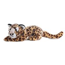 Plush & Company wild felix