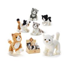 Plush & Company Birbe Gattini Multipose 23cm 15797
