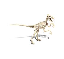 Scienza e Gioco Velociraptor 19144