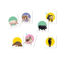 Gioco Clem Memo Animal 18076