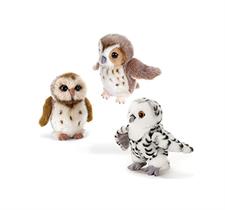 Plush & Company Booby Gufetti 20Cm 15856