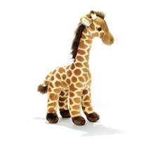 Plush & Company Kipzy Giraffa 38Cm 15904