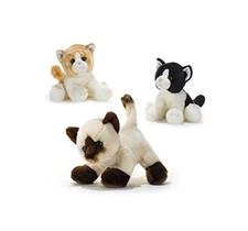 Plush & Company Birboni Gatti 26cm 15811
