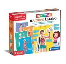 Gioco Montessori Corpo Umano 16373