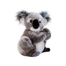Plush & Company Koline Koala 22Cm 05932
