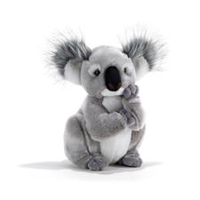 Plush & Company Kolette Koala 15747